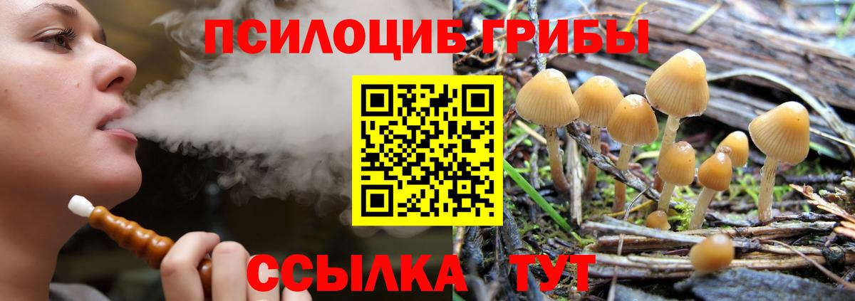 Псилоцибиновые грибы GOLDEN TEACHER  Вход с VPN  Карасук 